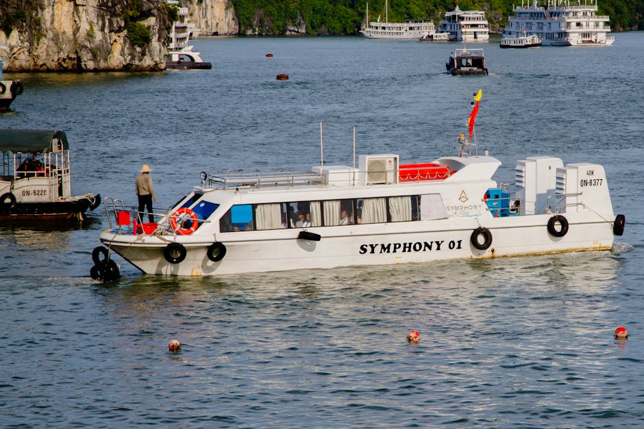 探索 Disney 郵輪:優雅旅程中的哲學思考