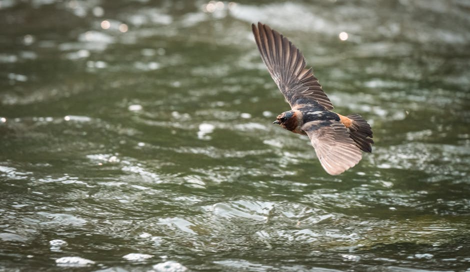 賽車錶:速度與精準的哲學對話