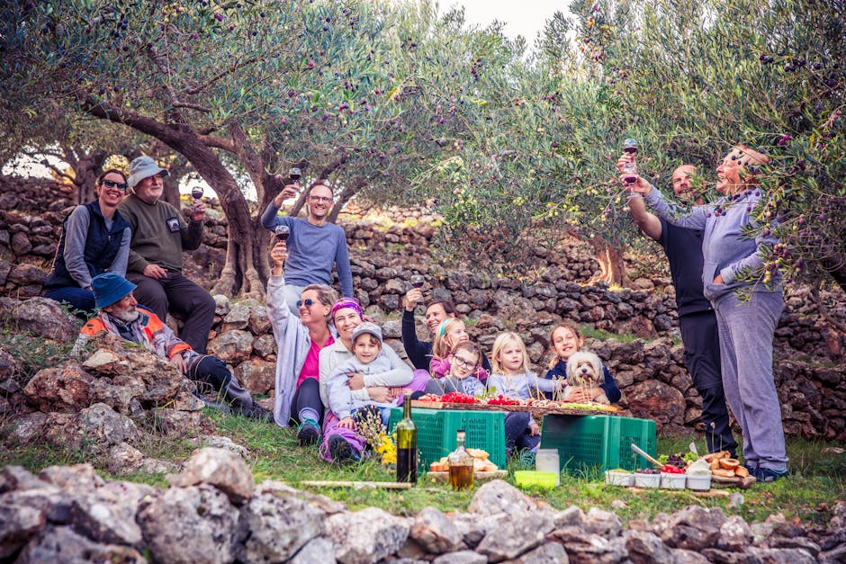 高級中菜的魅力與品味探索