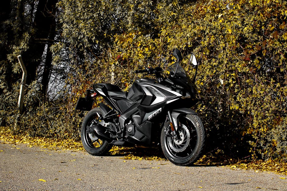 皮夾選擇必讀：權威報導案例深入剖析